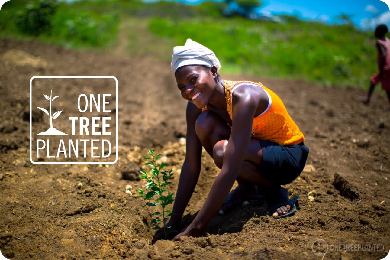 one-tree-planted-header_1