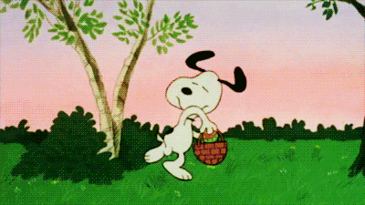 cópia de giphy.gif